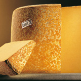 Cantal cheese